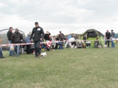 Częstochowa 2011 114
